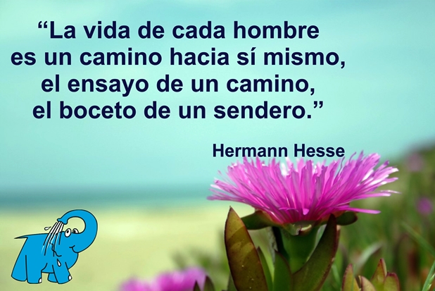 Una Enseñanza de Hermann Hesse en la Frase del Día del Elefante Azul de Avilés.